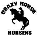 Crazy Horse Country Music Club